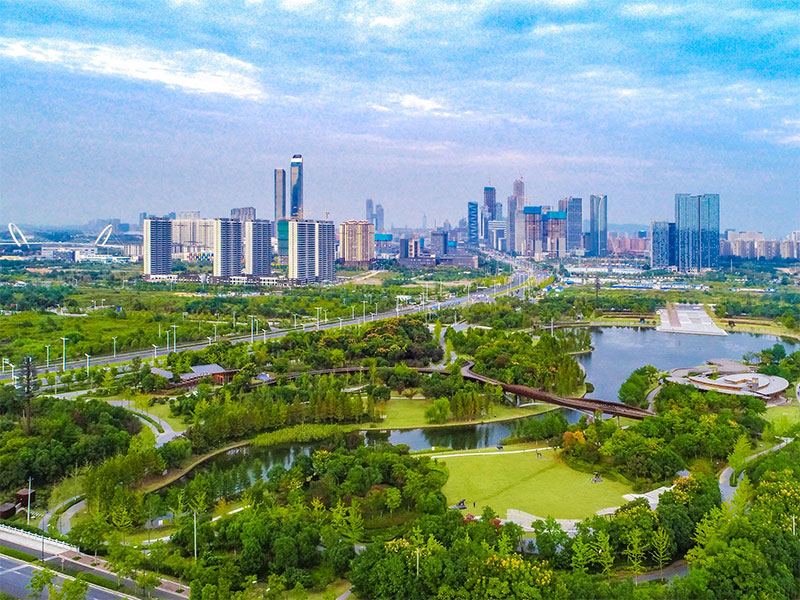 别墅花园设计案例分析:打造理想家园