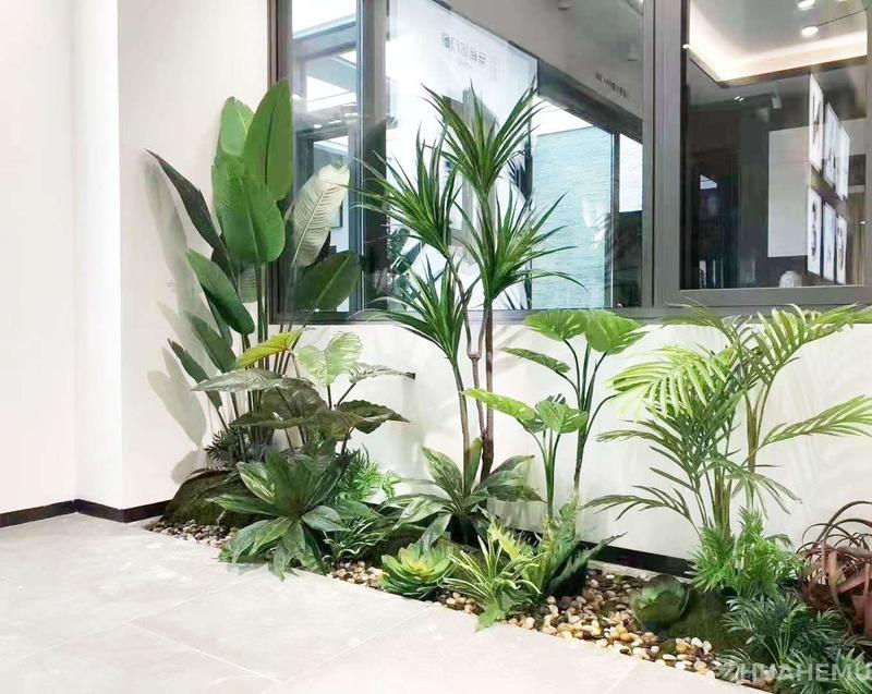 室内绿植设计