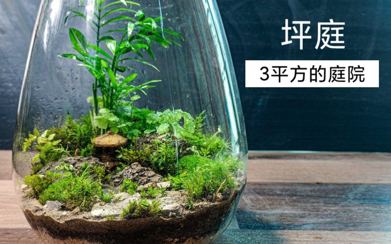 花道培训:以传统之美点亮生活艺术