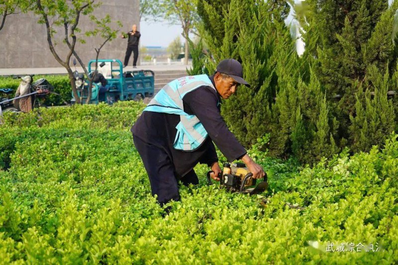 园艺绿化养护